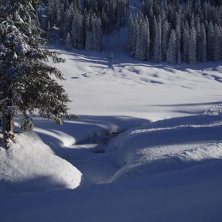 Hotel Des Alpes Adelboden Kültér fotó