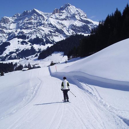 Hotel Des Alpes Adelboden Kültér fotó