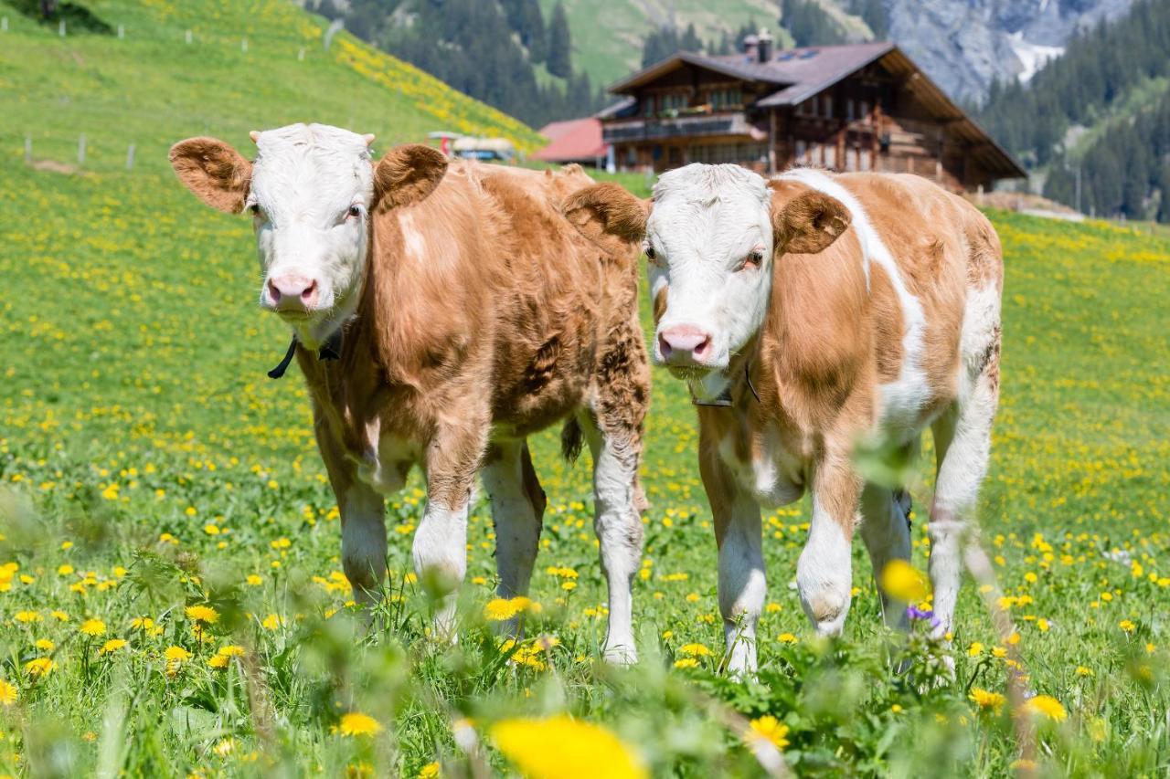 Hotel Des Alpes Adelboden Kültér fotó