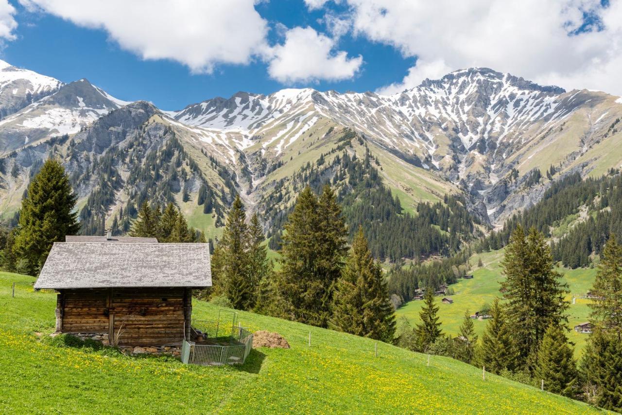 Hotel Des Alpes Adelboden Kültér fotó